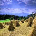 Mislinjska_dolina_2806_orig