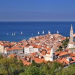 piran_jadrnice_z_obzidja_2828_orig