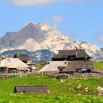 planina_velika_3103_orig