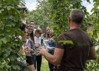 Udobno, varno in zeleno: iz prestolnice na pivovsko doživetje v Kamniku