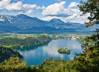 Marca bo 2. Kongresni forum Bled