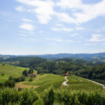 F002068-stb_road_in_the_shape_of_a_heart_in_svecina_photo_nea_culpa_orig_jpg-photo-m