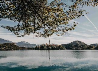 Bled Strategic Forum