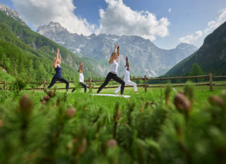 The Pure Power of Nature of the Logar Valley Hotel Plesnik
