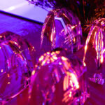 Kongresni Ambasadorski Program 2024-105