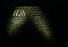 Odprte so prijave za Kongresne ambasadorje Slovenije 2026