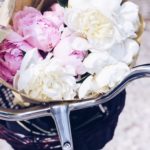 Processed with VSCO with a5 preset