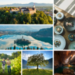 Slovenia Meetings collage