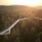 The Pohorje Treetop Walk, photo by UKOM