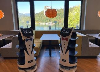Tone and Pavla, the friendly robot helpers at the Park Café in Bled