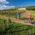 UP_Hrastovlje_Foto_Jaka_Ivancic