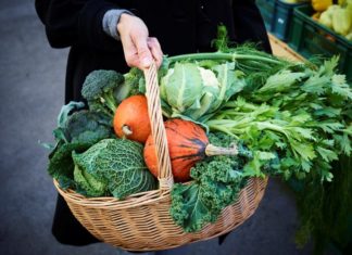 Ljubljana Shortlisted as the Best Food Destination Visit Ljubljana