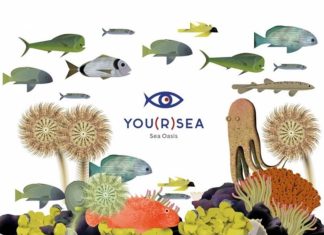 Unveiling the Piran Sea Oasis