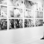 bazato_gallery