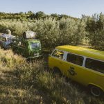 lisjak_olive_tour_naslovna