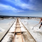 salt miner for a day