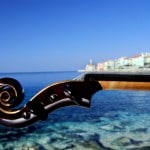 Search for the lost violin