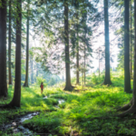 untitled_design_18