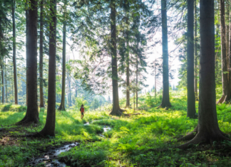 Slovenia, Green and Safe